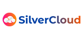 Silver Cloud