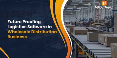 Future Proofing Logistics Software in Wholesale Distribution Business